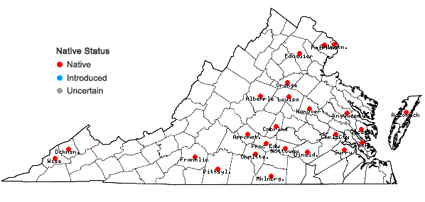 Locations ofElymus glabriflorus (Vasey ex L.H. Dewey) Scribn. & C.R. Ball var. australis (Scribn. & C.R. Ball) J.J.N. Campbell in Virginia