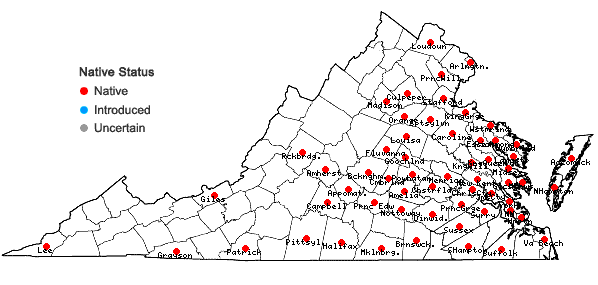 Locations ofElymus glabriflorus (Vasey ex L.H. Dewey) Scribn. & C.R. Ball var. glabriflorus in Virginia