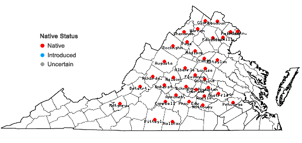 Locations ofElymus macgregorii Brooks & Campbell in Virginia