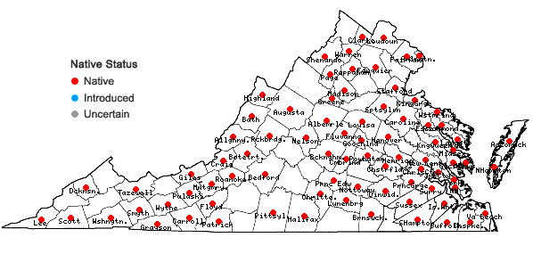 Locations ofElymus villosus Muhl. ex Willd. in Virginia