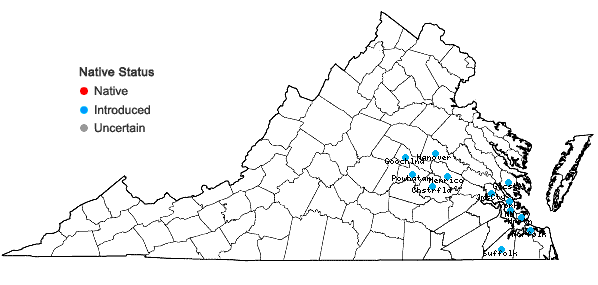 Locations ofEmblica urinaria (Linnaeus) R.W. Bouman in Virginia