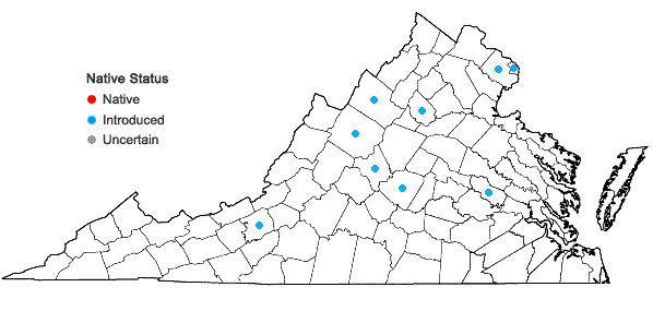 Locations ofEpipactis helleborine (L.) Crantz in Virginia