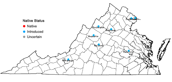 Locations ofEpipactis helleborine (L.) Crantz in Virginia