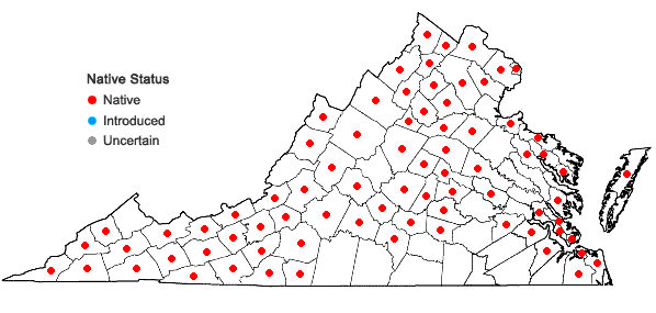Locations ofErigeron philadelphicus L. var. philadelphicus in Virginia