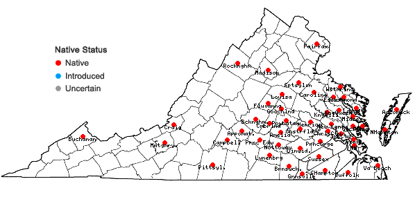 Locations ofErigeron pusillus Nutt. in Virginia
