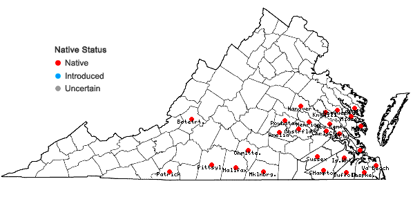 Locations ofEryngium prostratum Nutt. ex DC. in Virginia