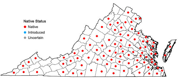 Locations ofEupatorium pubescens Muhl. ex Willd. in Virginia