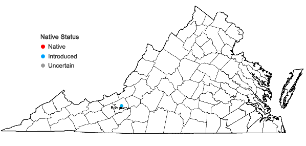 Locations ofEuphorbia myrsinites L. in Virginia