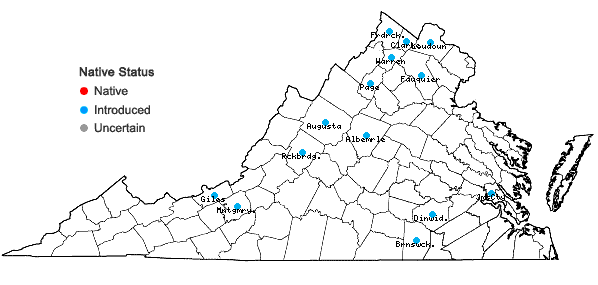 Locations ofEuphorbia prostrata Aiton in Virginia