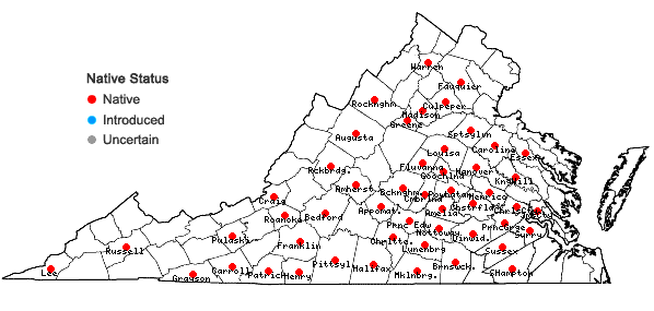 Locations ofEuphorbia pubentissima Michx. in Virginia