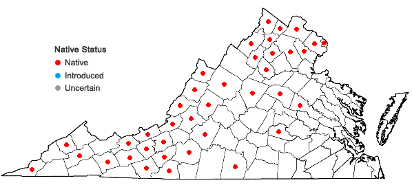 Locations ofEurybia schreberi (Nees) Nees in Virginia
