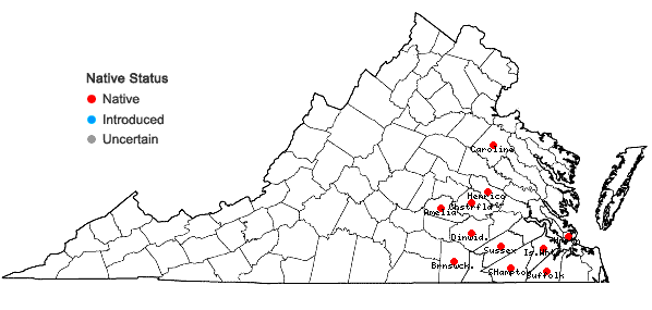 Locations ofEurybia spectabilis (Ait.) Nesom in Virginia