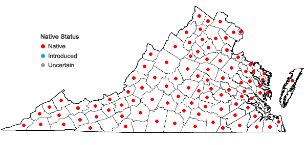 Locations ofEutrochium fistulosum (Barratt) E.E. Lamont in Virginia