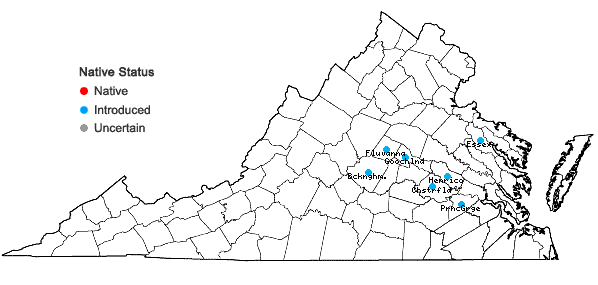 Locations ofExochorda racemosa (Lindl.) Rehd. in Virginia