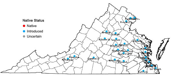 Locations ofFatoua villosa (Thunb.) Nakai in Virginia