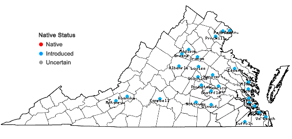 Locations ofFatoua villosa (Thunb.) Nakai in Virginia