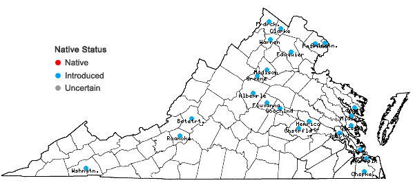 Locations ofFicaria verna Hudson in Virginia