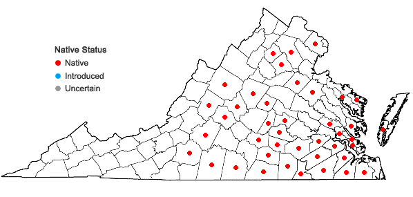 Locations ofFimbristylis annua (Allioni) R. & S. in Virginia