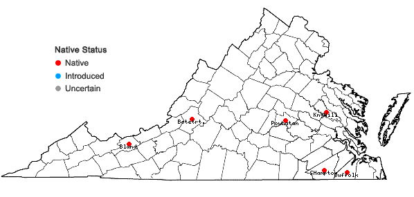 Locations ofFossombronia cristula Austin in Virginia