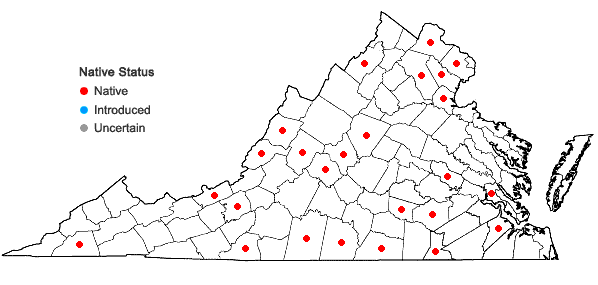 Locations ofFraxinus biltmoreana Beadle in Virginia