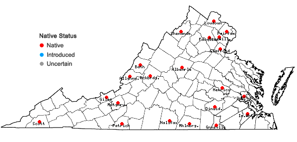Locations ofFraxinus biltmoreana Beadle in Virginia