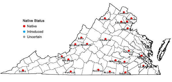 Locations ofFraxinus biltmoreana Beadle in Virginia
