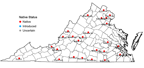 Locations ofFraxinus biltmoreana Beadle in Virginia