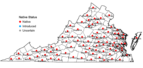 Locations ofFrullania eboracensis Gottsche ssp. eboracensis in Virginia