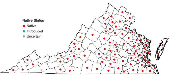 Locations ofGalactia regularis (L.) B.S.P. in Virginia