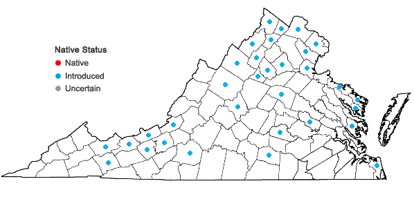 Locations ofGalinsoga parviflora Cav. var. parviflora in Virginia