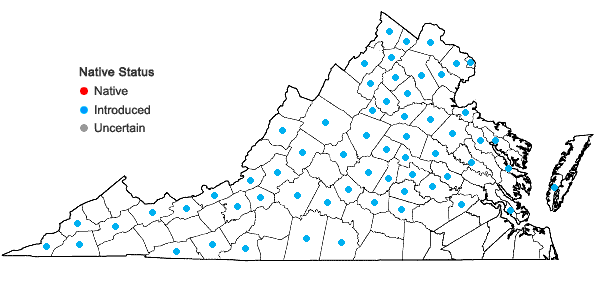 Locations ofGalium pedemontanum (Bellardi) Allioni in Virginia