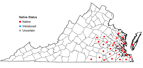 Locations ofGelsemium sempervirens (L.) St.-Hilaire in Virginia