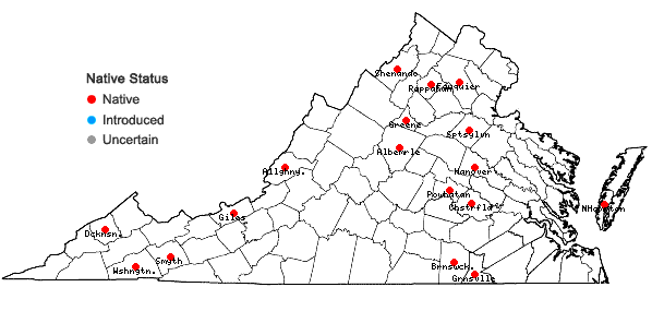 Locations ofGemmabryum caespiticium (Hedw.) J.R. Spence in Virginia
