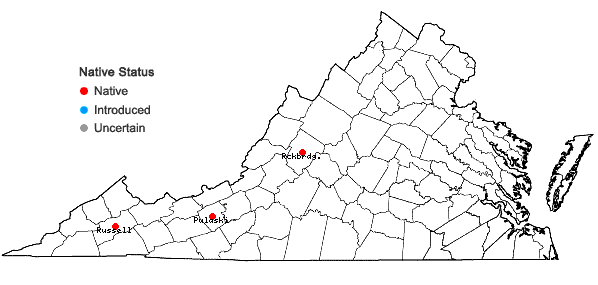 Locations ofGentianella quinquefolia (L.) Small var. occidentalis Gray in Virginia