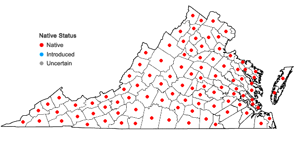 Locations ofGlyceria striata (Lam.) A.S. Hitchc. var. striata in Virginia