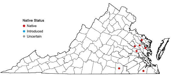 Locations ofGratiola virginiana L. var. aestuariorum Pennell in Virginia
