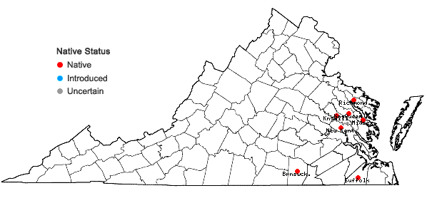 Locations ofGratiola virginiana L. var. aestuariorum Pennell in Virginia