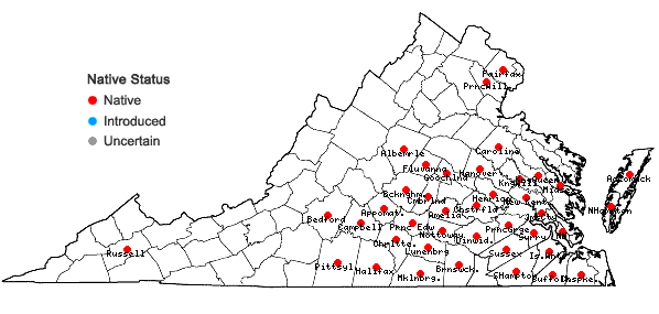 Locations ofGymnopogon ambiguus (Michx.) B.S.P. in Virginia