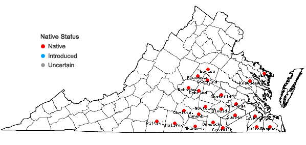 Locations ofGymnopogon brevifolius Trin. in Virginia