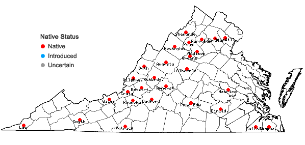 Locations ofHaplocladium virginianum (Brid.) Broth. in Virginia