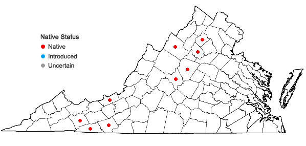 Locations ofHarpalejeunea molleri (Steph.) Grolle ssp. integra (R. M. Schust.) Damsh. in Virginia