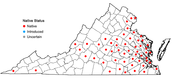 Locations ofHeteranthera reniformis Ruiz & Pavon in Virginia