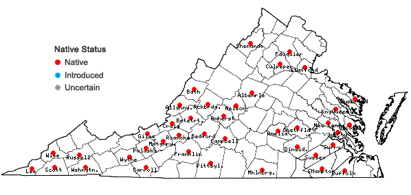 Locations ofHexalectris spicata (Walter) Barnh. in Virginia