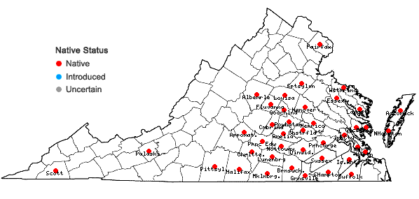 Locations ofHoustonia pusilla Schoepf in Virginia