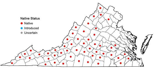 Locations ofHoustonia tenuifolia Nuttall in Virginia