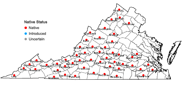 Locations ofHoustonia tenuifolia Nuttall in Virginia