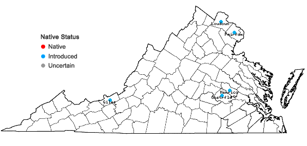 Locations ofHouttuynia cordata Thunb. in Virginia