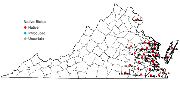 Locations ofHydrocotyle umbellata L. in Virginia