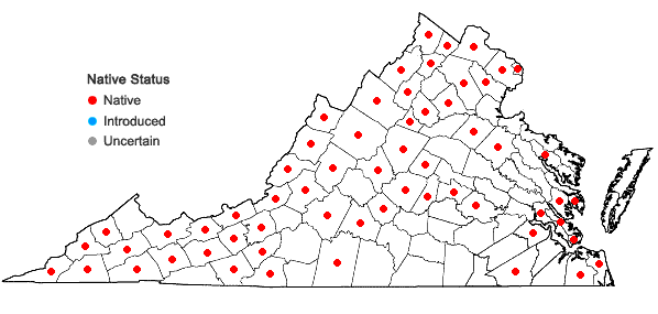 Locations ofHylodesmum glutinosum (Muhl. ex Willld.) H. Ohashi & R.R. Mill in Virginia