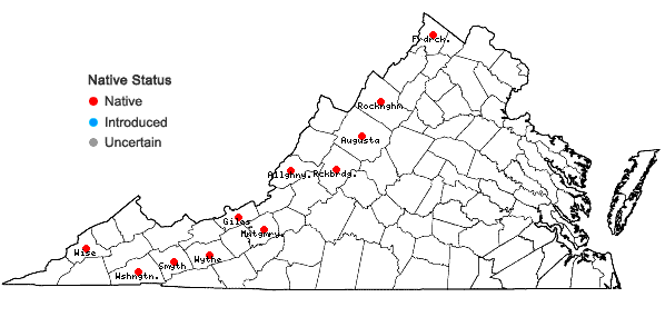 Locations ofHymenostylium recurvirostrum (Hedw.) Dixon var. recurvirostrum in Virginia